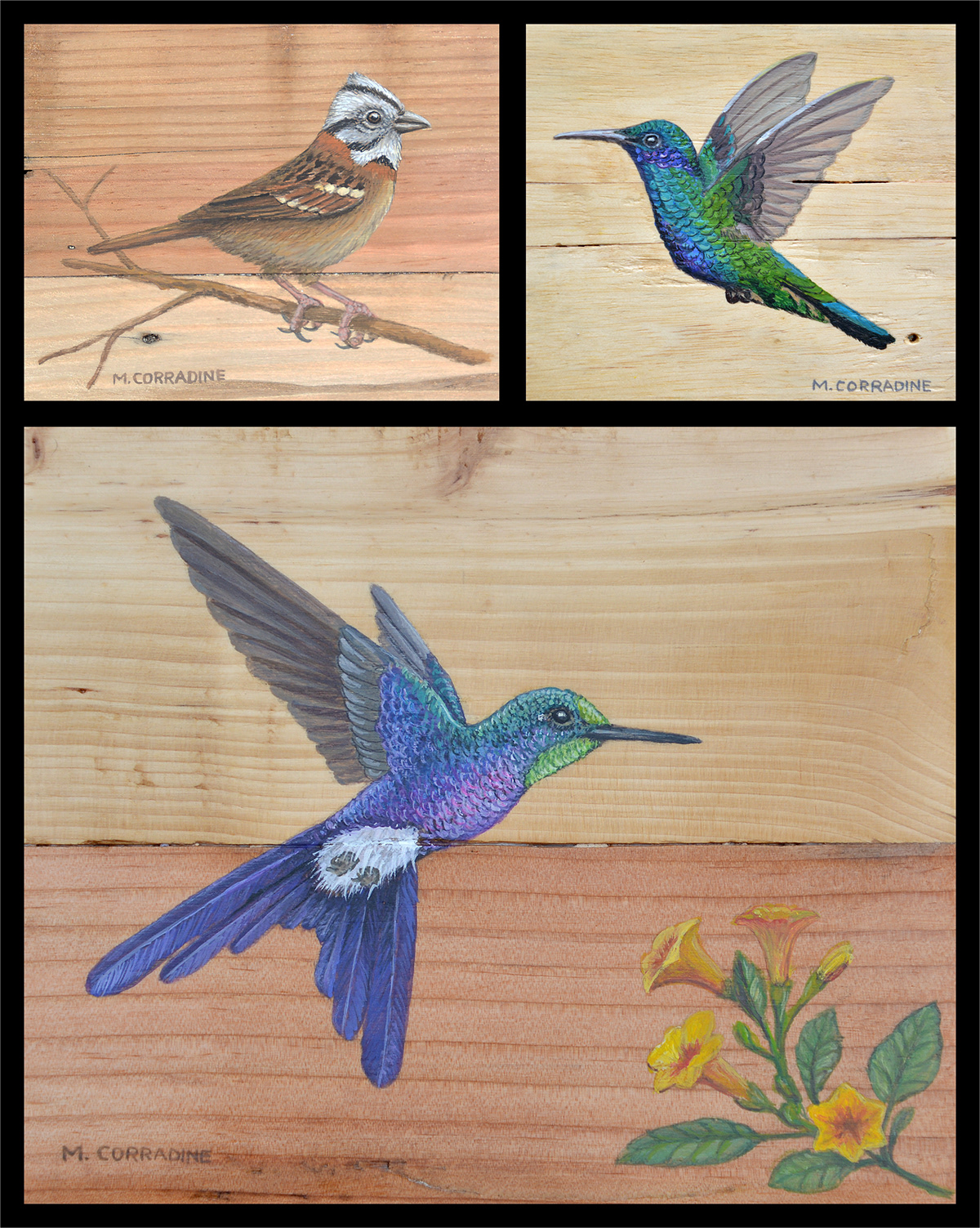 wood acrylic birds art colombia rustic recycling ornithology scientific wildlife