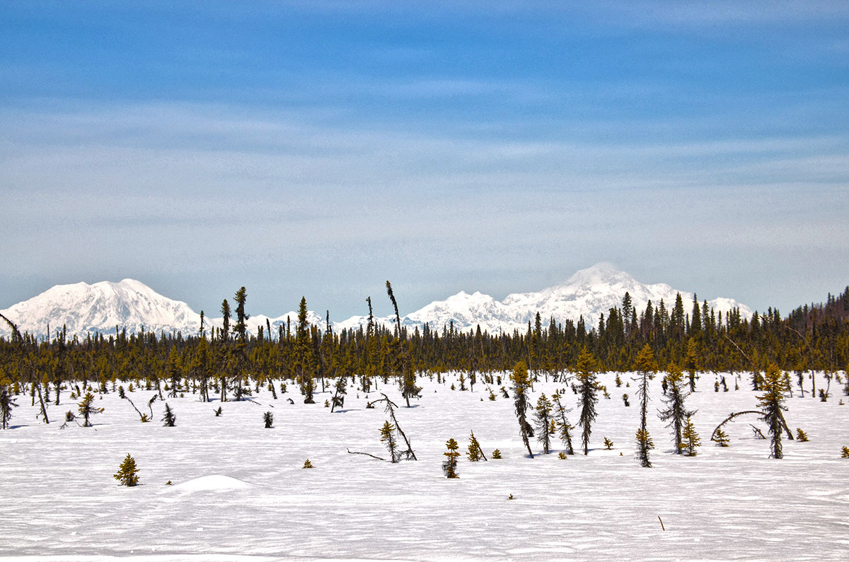 Alaska Mt.Mckinley denali national park mountains snow