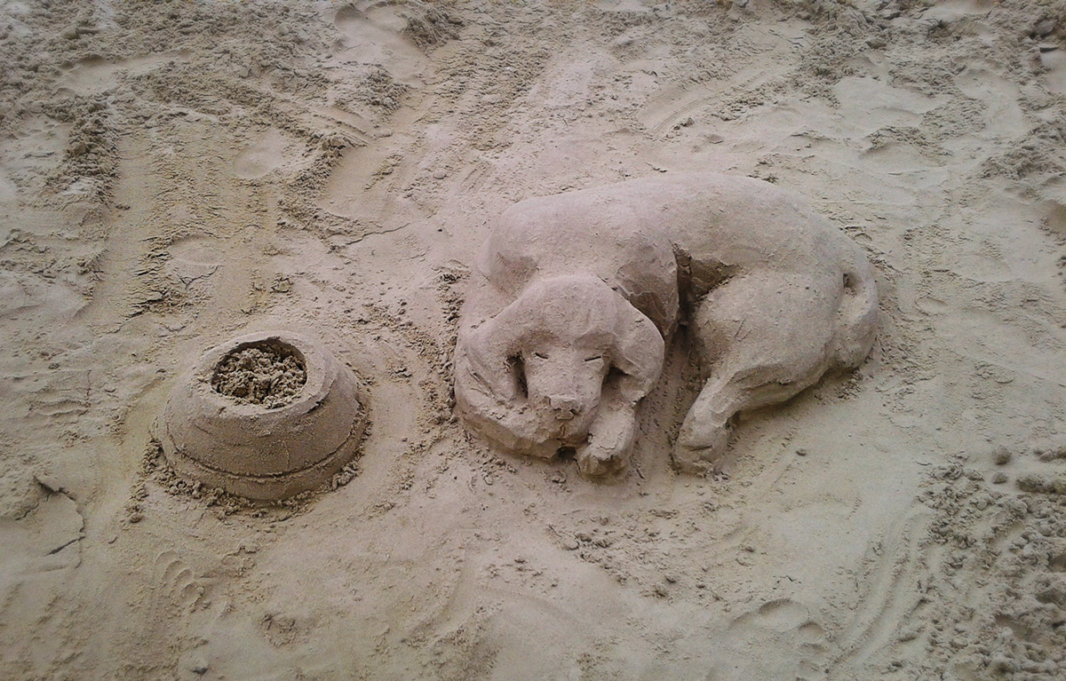 sculpture sand sand sculpture dog play