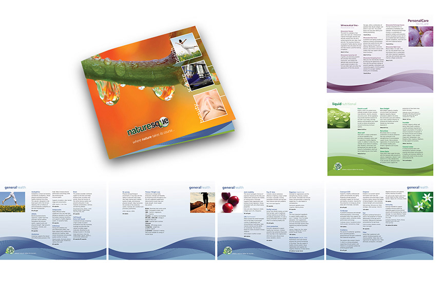 brochure design design print design 
