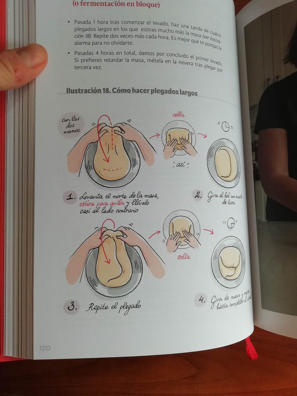 artesanal bakery bread cookbook cooking Food  ILLUSTRATION  libro panaderia recipe