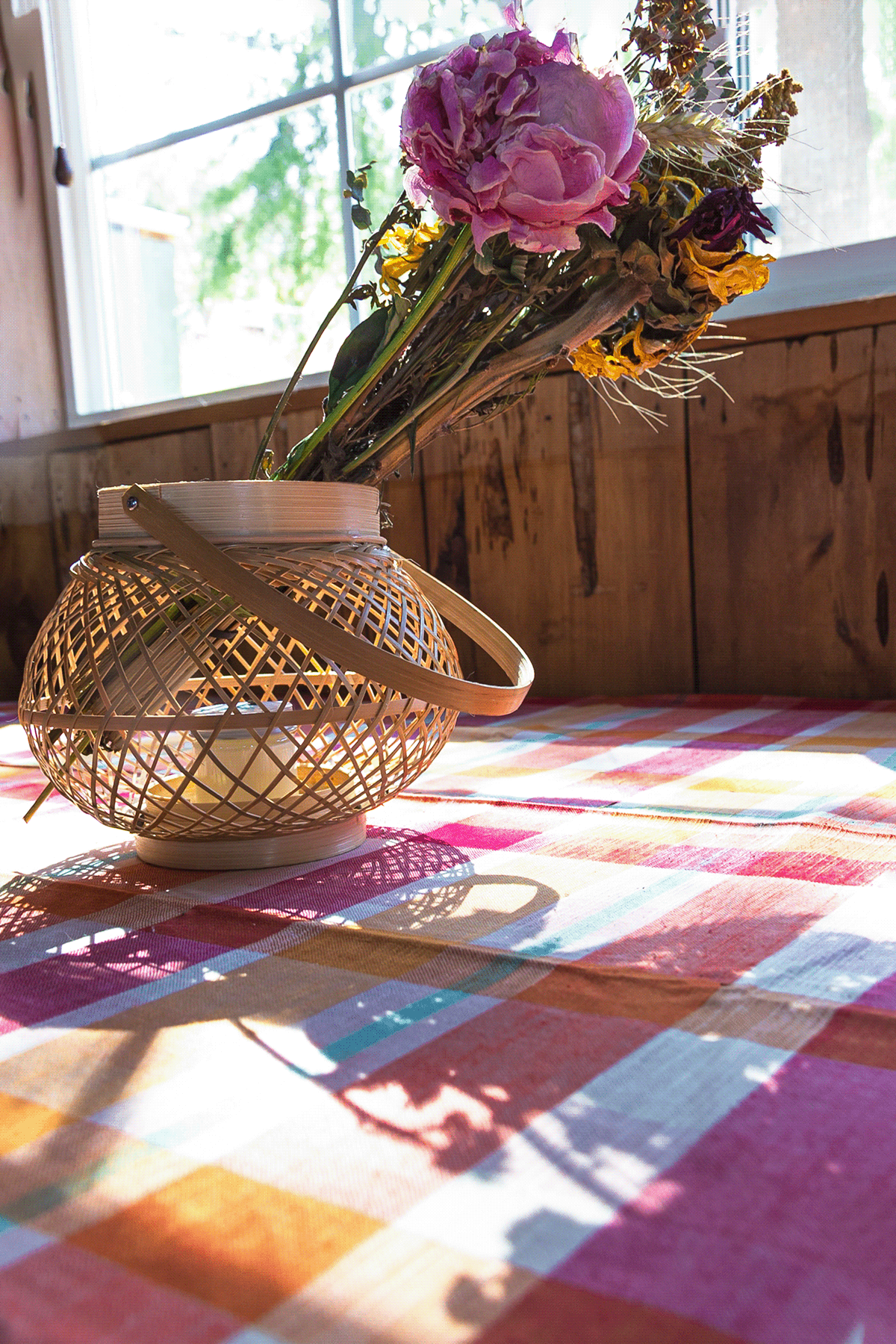 Canon cottagecore Dried Flowers floral morning light photoshop Shadows still life tabletop