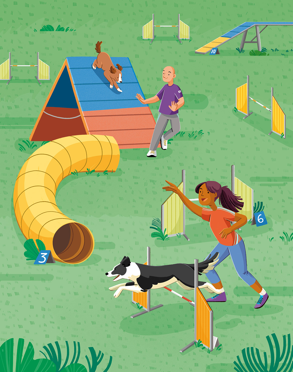 Agility dog course with two dogs and two people