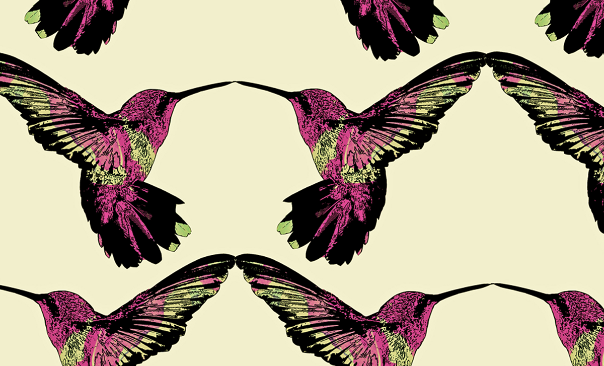 hummingbird wallpaper print bird colour pattern Textiles