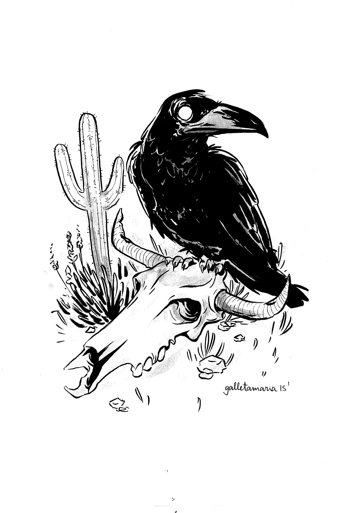 sketch crows skull cactus western cameleon vulture