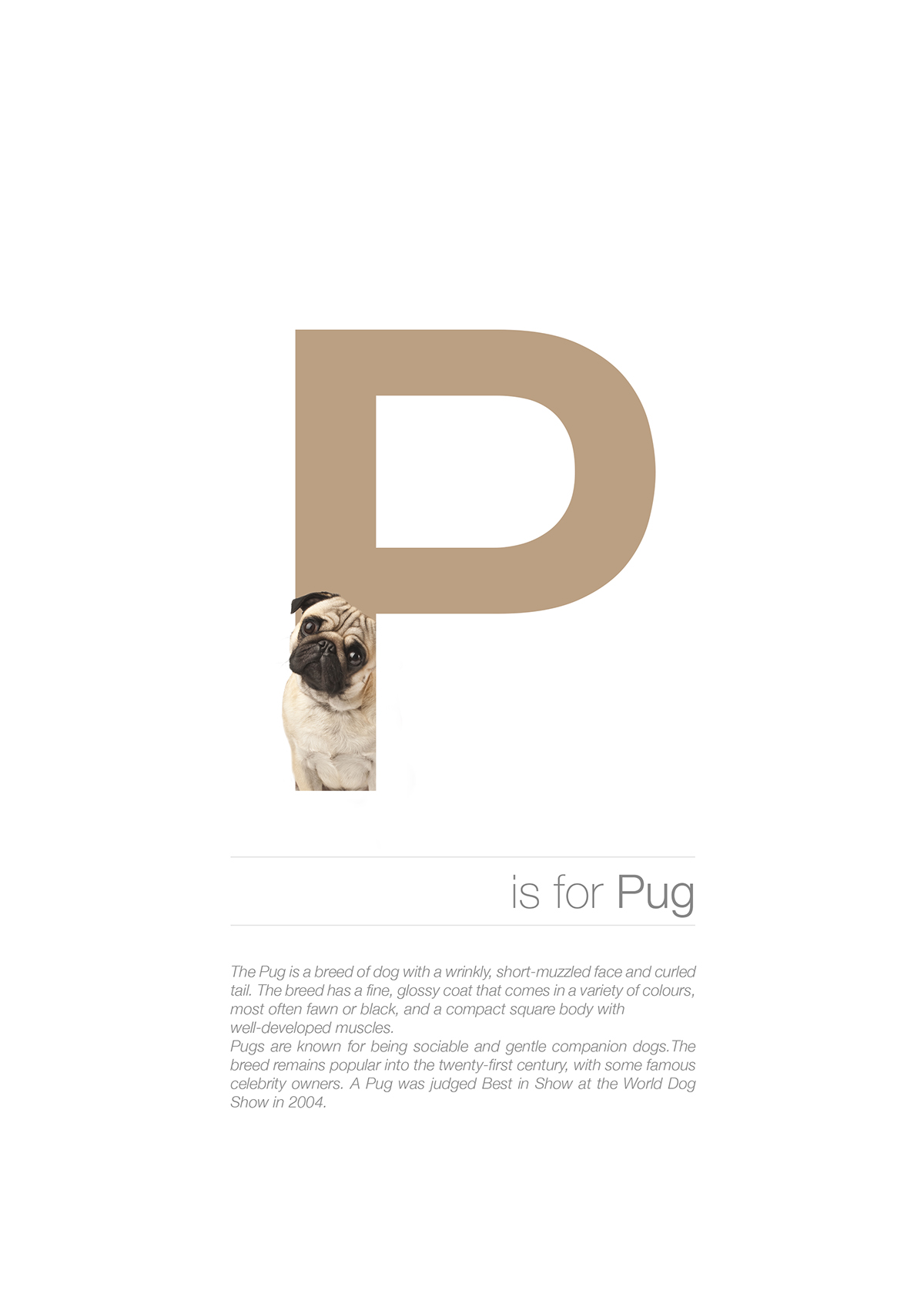 dog posters Breeds alphabet learning letters graphicdesign type