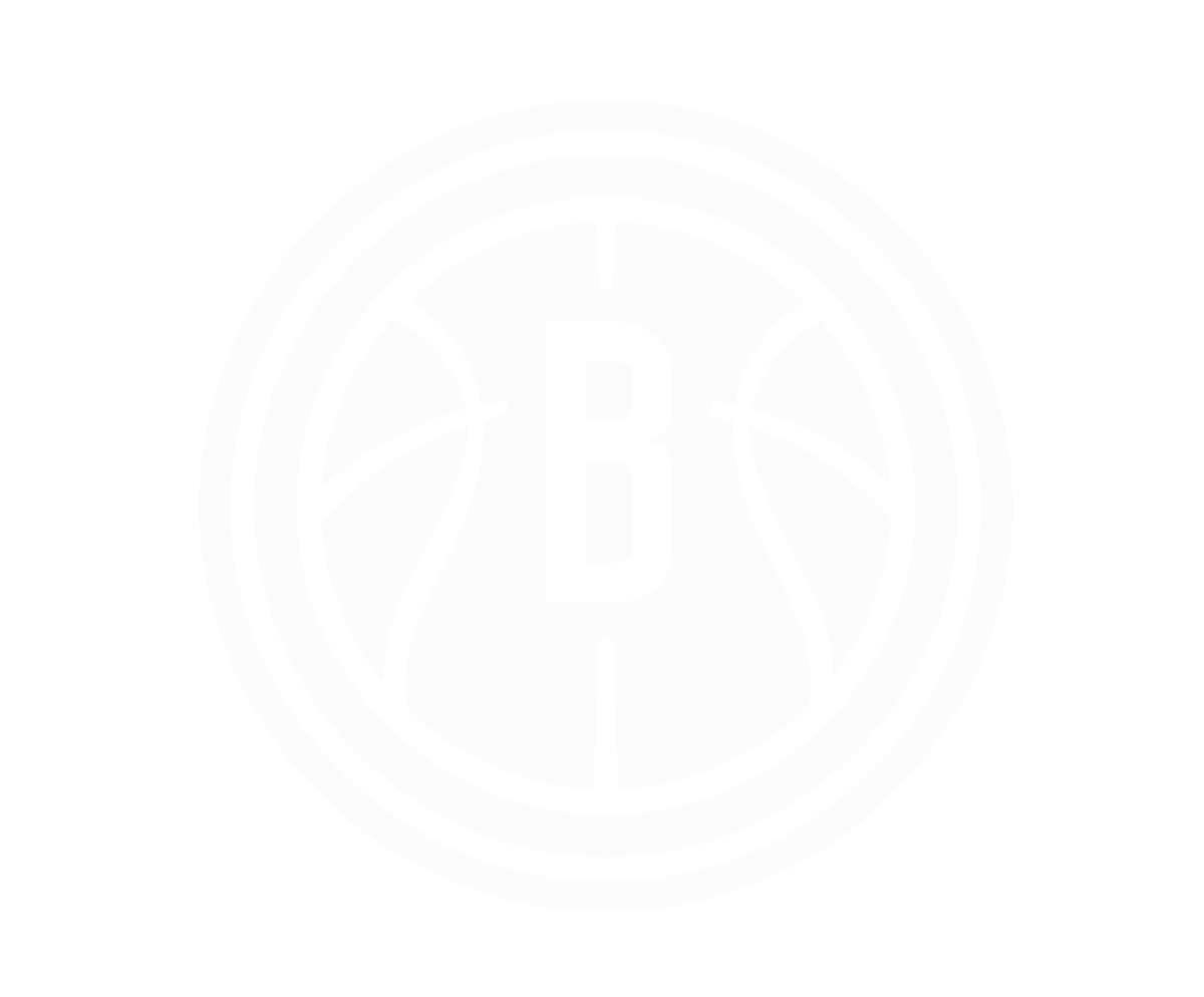 sports Brooklyn Nets NBA basketball