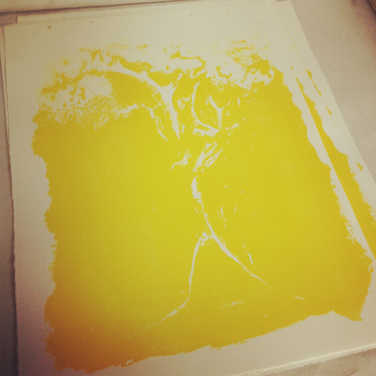 print printmaking litho lithograph lithography anatomy Tree  art fine art plate plate lithograph