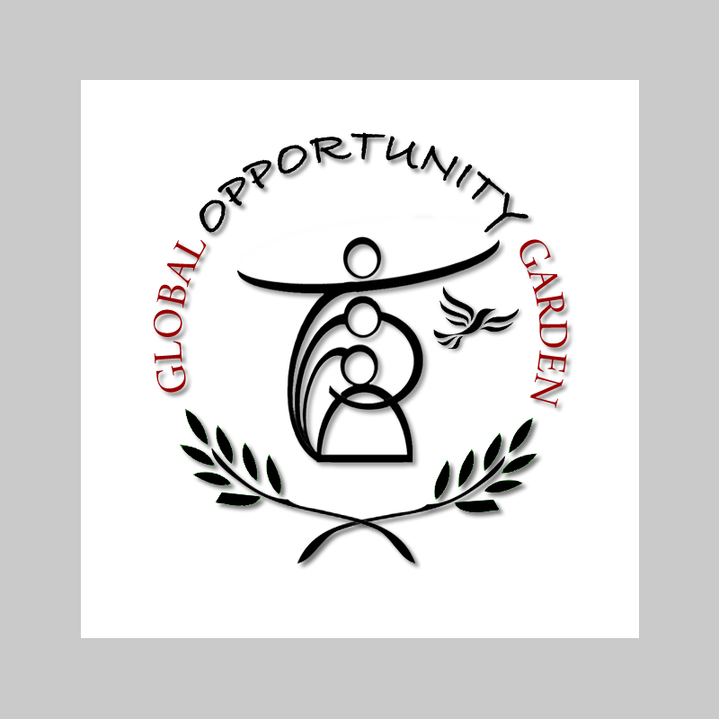 nonprofit International logo