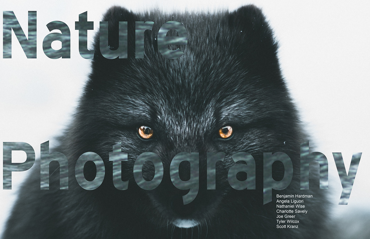 Zine  print design  photoshop Illustrator InDesign Pratt Institute lightroom typography  