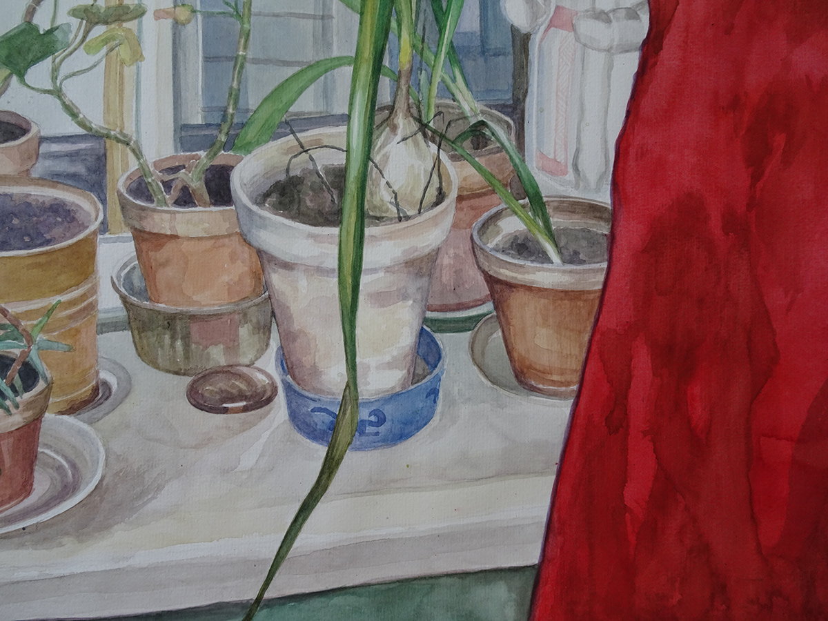 watercolor painting   Drawing  fine art things Stuff glass plants ILLUSTRATION  Interior