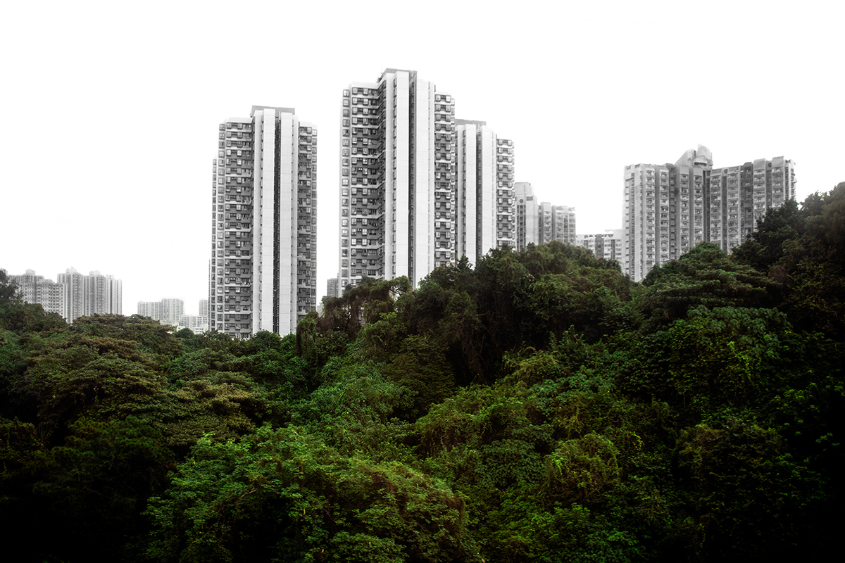 Hong Kong New York skyscraper Nature shanghai