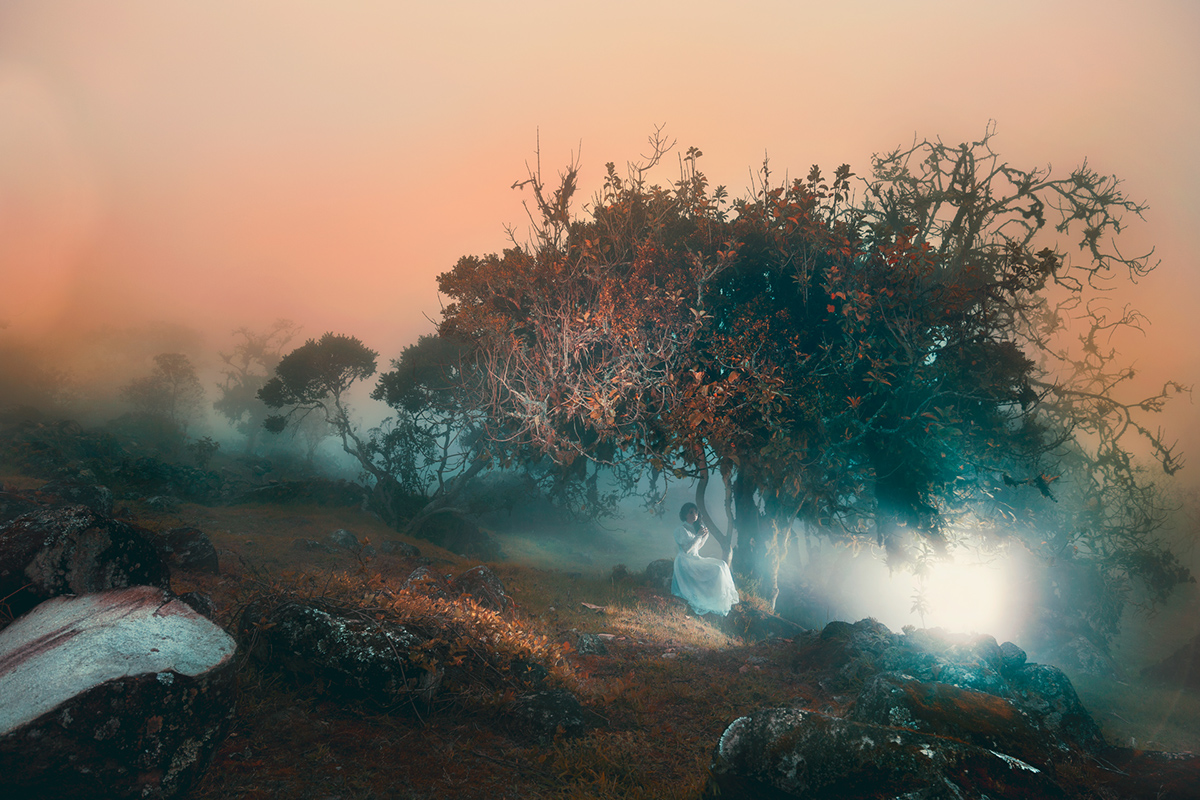 Landscape portrait TALES fantasy epic mist rocks stones forest fine art