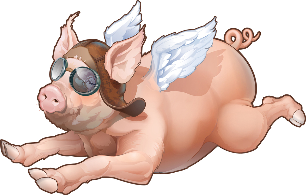 Illustraion Fly Pig vector