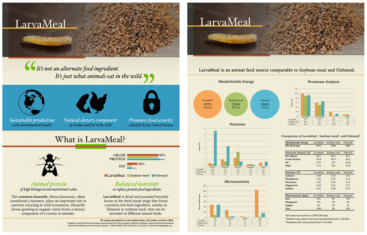LarvaMeal larva meal animal feed animal science department