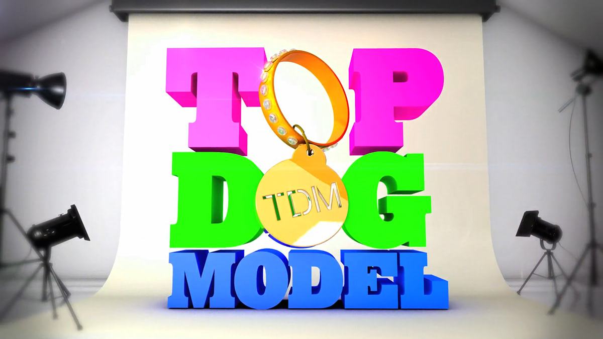 Top Dog Model  title sequence titles Broadcast Design Graphics Package content graphics motion design 3D