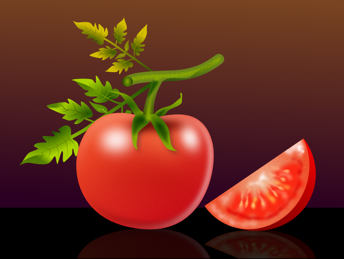 Tomatoe tomates legumes vegetais plants red Nature Food 