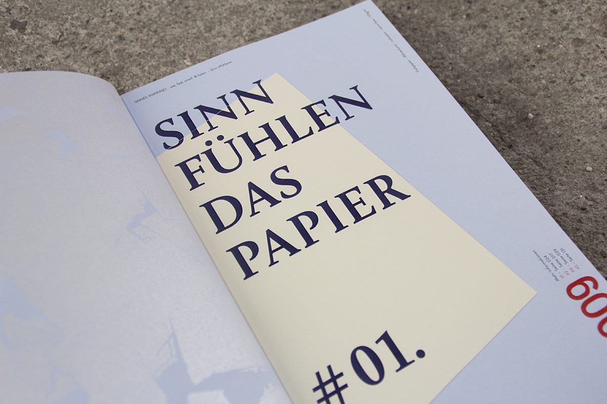 editorial design  typography   book siebdruck paper sence papier druckveredelung bachelor interaction