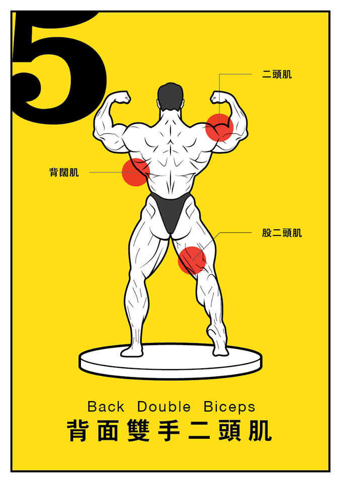 Re-LAB Body Building 圖解 muscle 健美姿勢 健美比賽 infographic