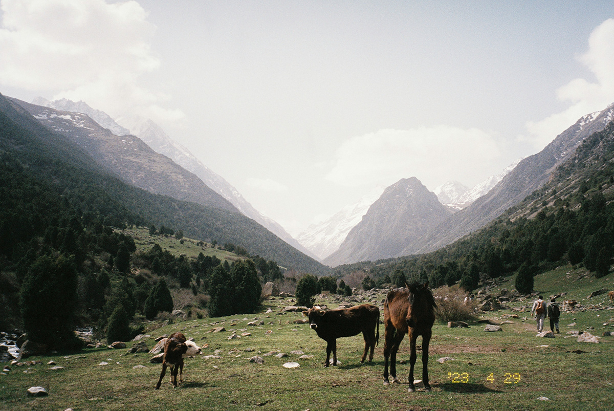 kyrgyzstan bishkek travel photography mountains lightroom photographer Nature Kyrgystan