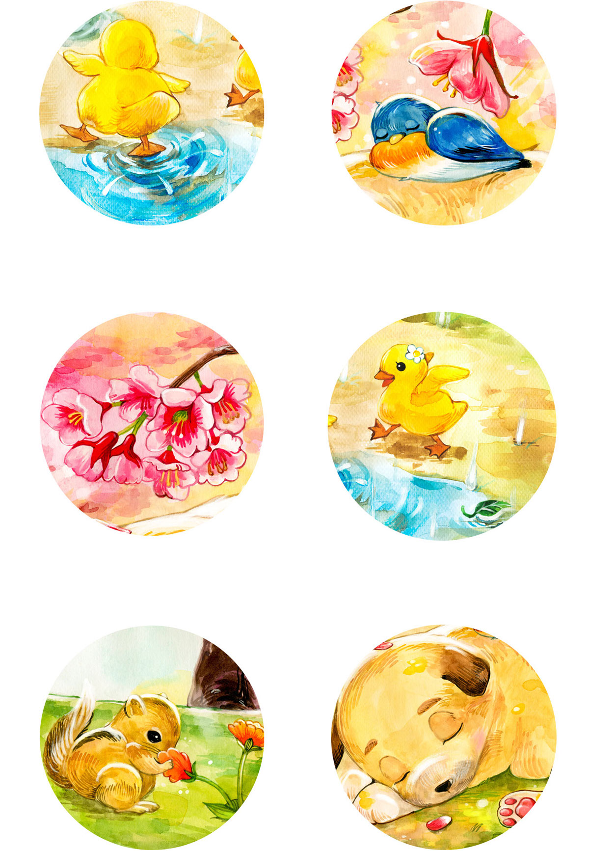 watercolor watercolour butterfly rose flower children's book book illustrations ducks duckling plants dandelion puppy nature painting Cherry Blossom SKY