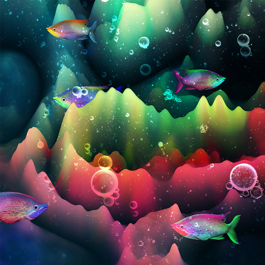 fish fishes rainbow colorful bubbles sea