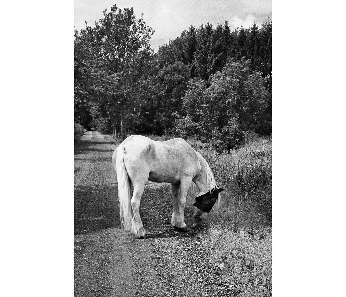 analog art artist black and white blackandwhite film photography monochrome photo photobook Photography 