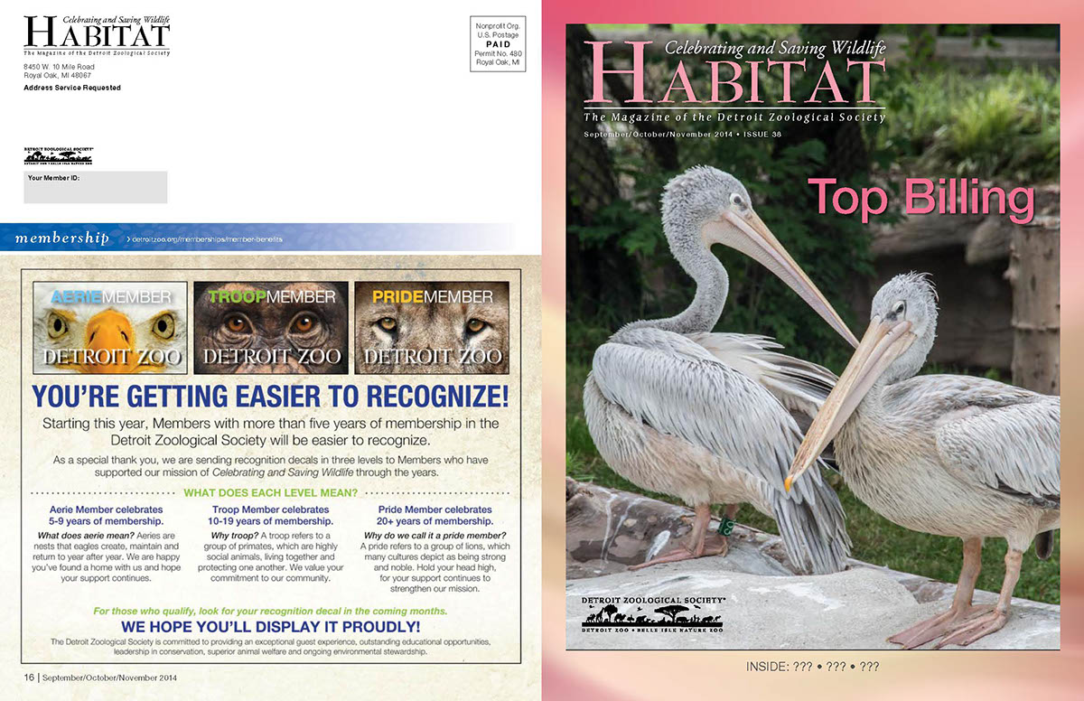 interviewing editorial Custom Publishing newsletter magazine nature journal