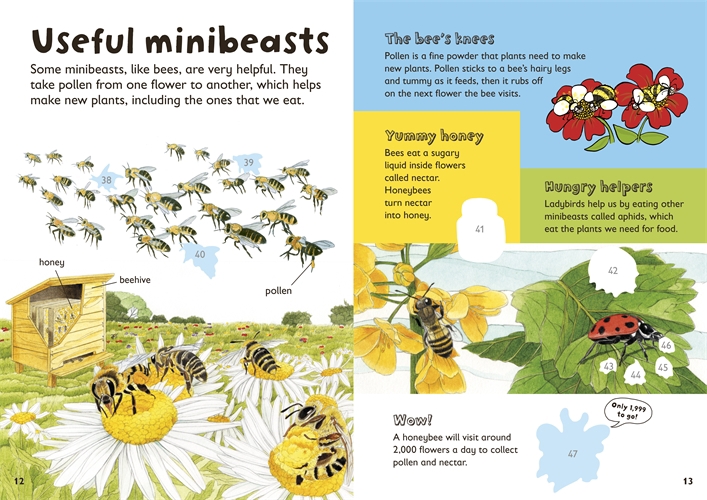 Minibeasts insect Nature garden book watercolor