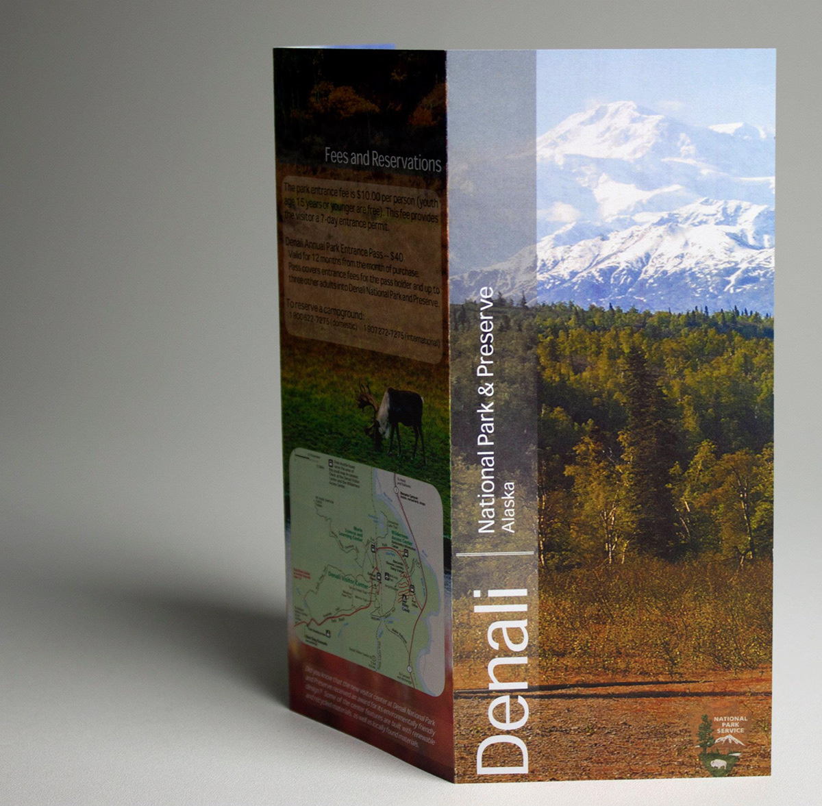 denali nationalparkbrochure brochure InDesign