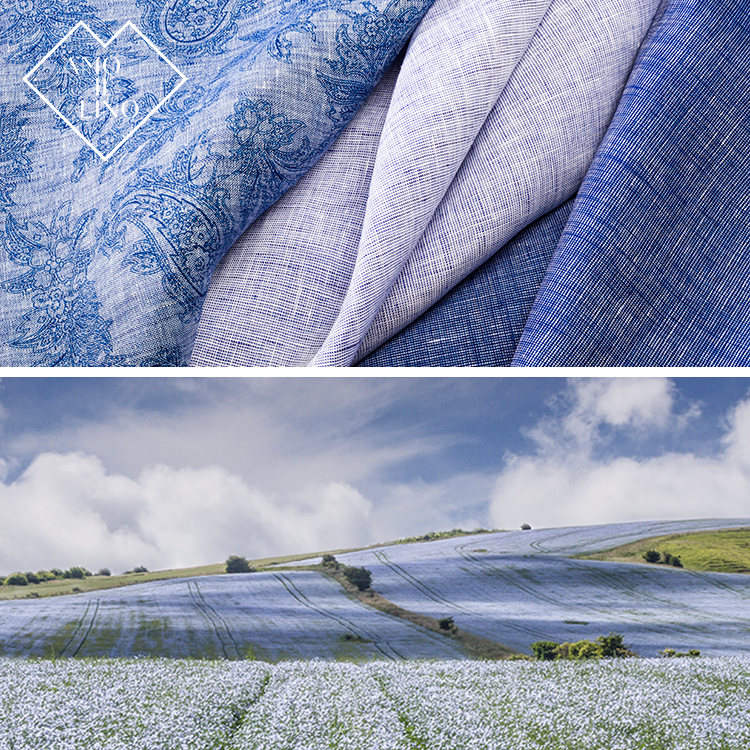 linen social post art direction  Sustainable Europe Nature graphics Photography  Flax