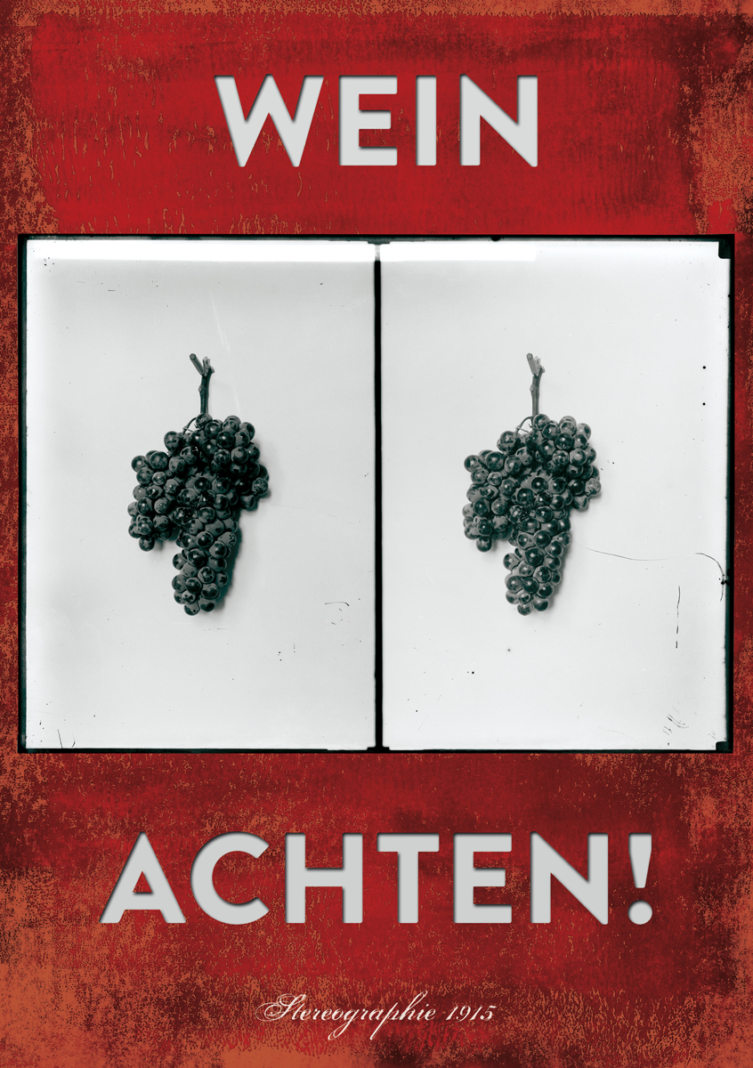 Adobe Portfolio wine postcard vin postkate carte postal bottle wraps Goethe wein