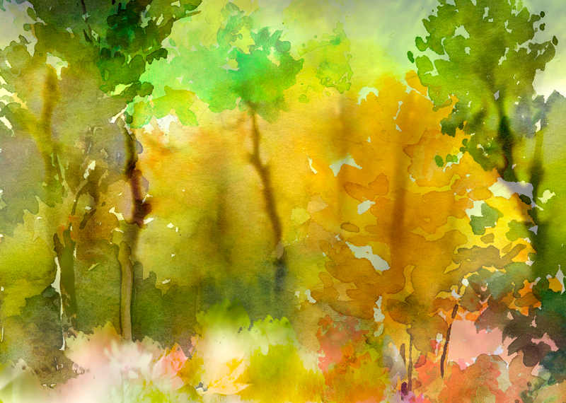 Fragrance watercolor stop motion   forest