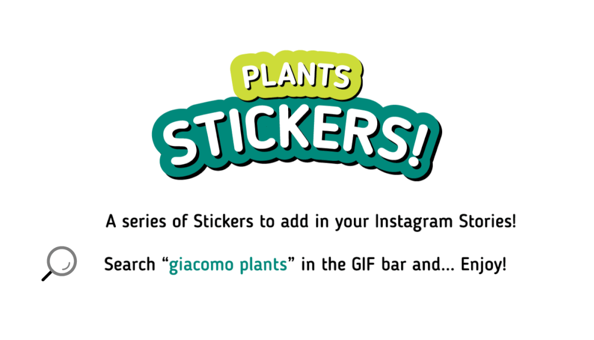 Ficus gif gifs green Monstera pilea plants Sansevieria sticker stickers