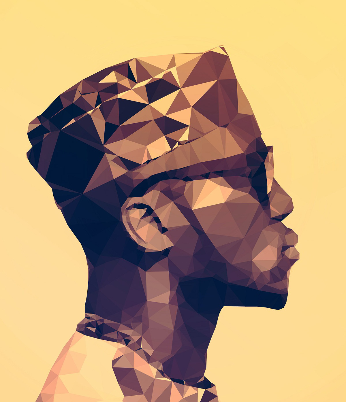 lowpoly Triangles facets polygon nigeria