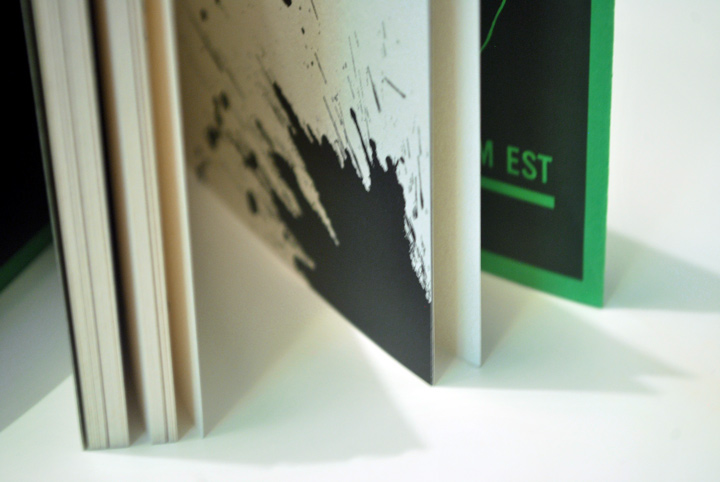 cover tipography tipografia design gráfico editorial Livro book novel stevz
