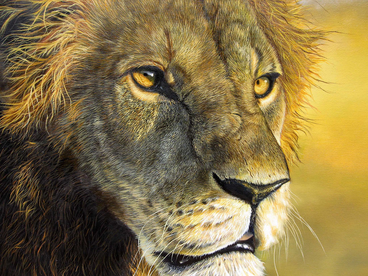 lion wildlife art animal africa oil