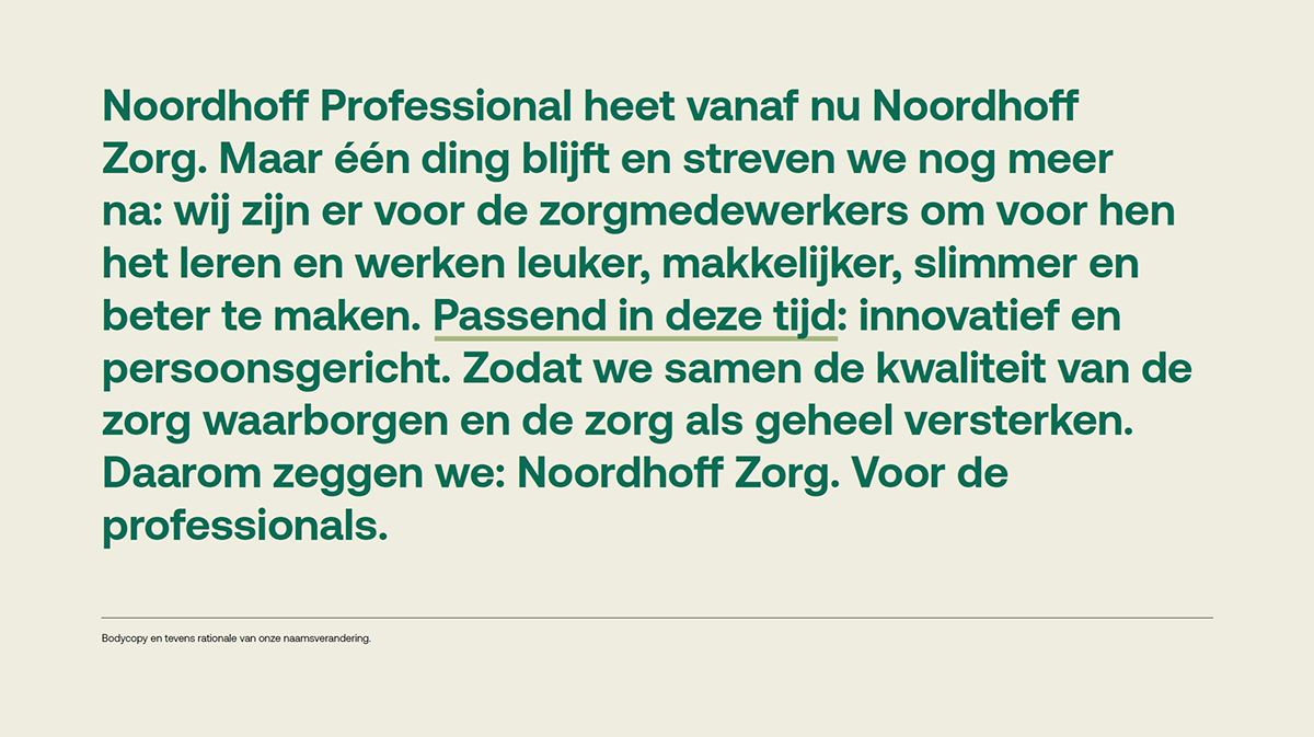 communication marketing   Advertising  styleguide brand identity Noordhoff Voor de professionals