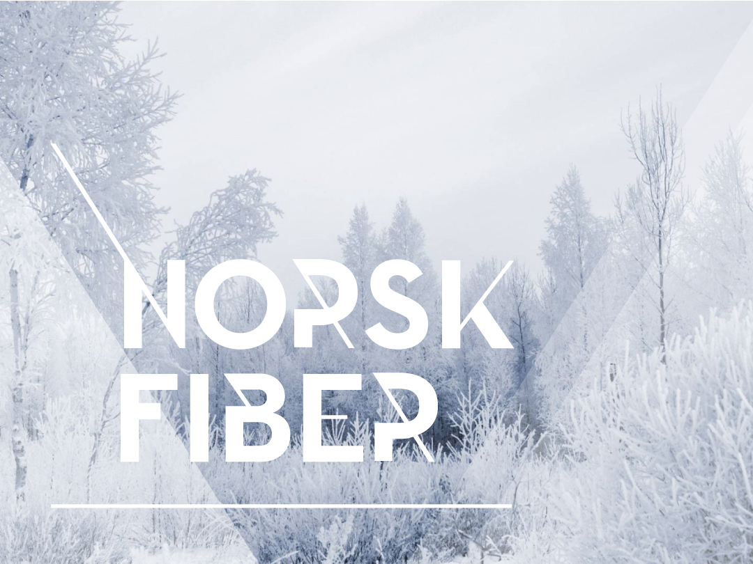 logo logo type norsk norwegian fiber broadband