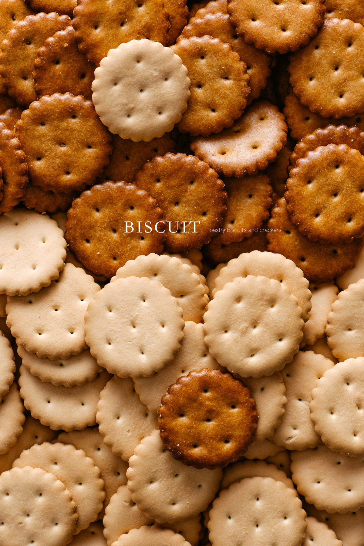 biscuit Food  food photograpy Life Style Photo