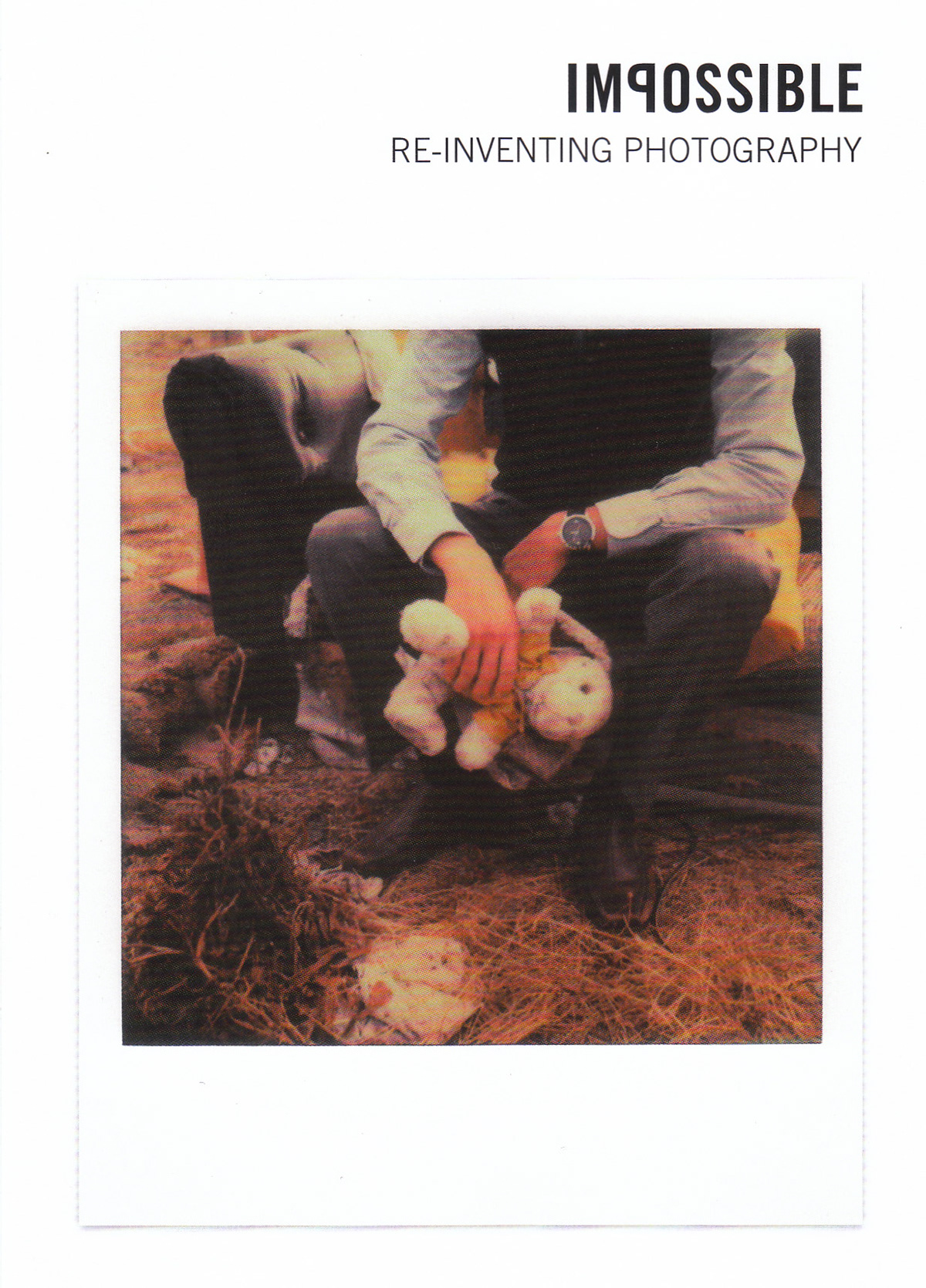 The Impossible Project  polaroid sx70 instant film bunny