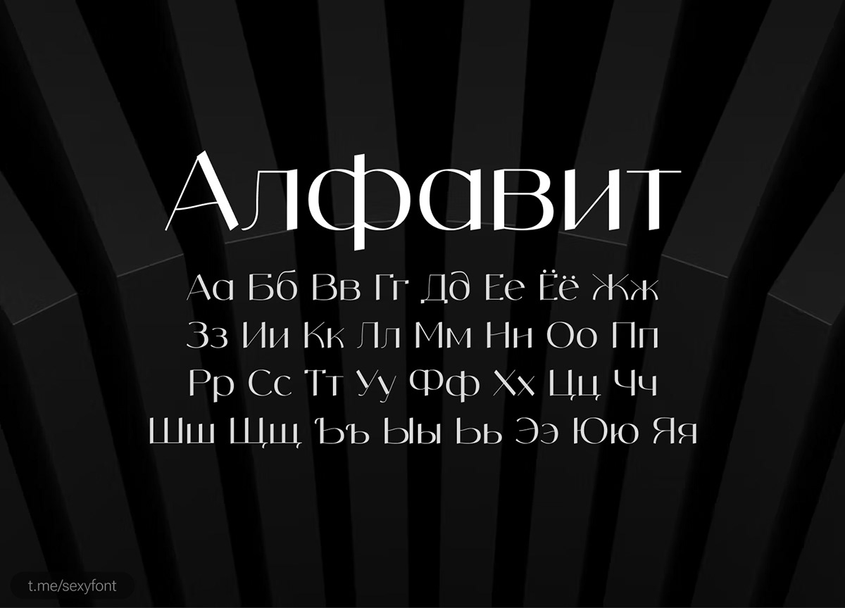 font typography   Graphic Designer Cyrillic lettering shrift типографика кириллица каллиграфия