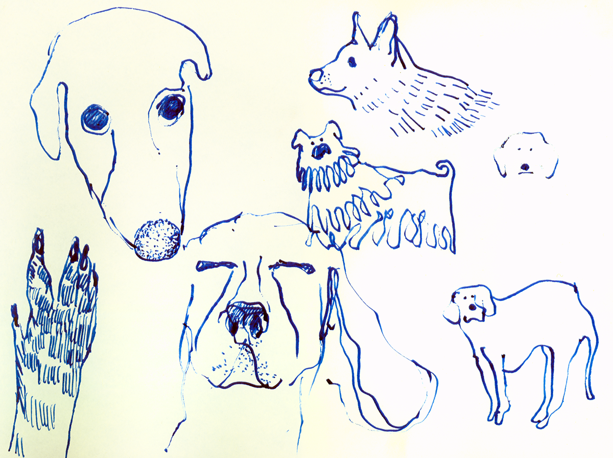 dog dogs funny sketch sketching animal animals woof