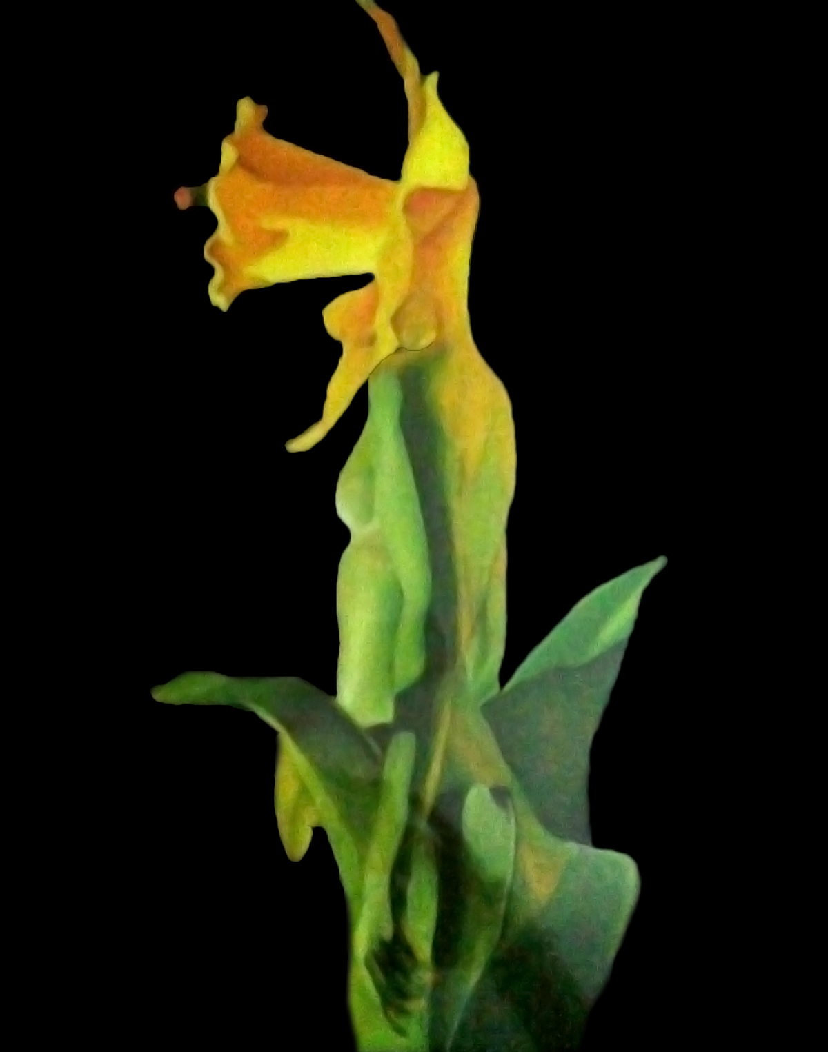 paint acrylic oil canvas flower illustrate art color ink watercolor