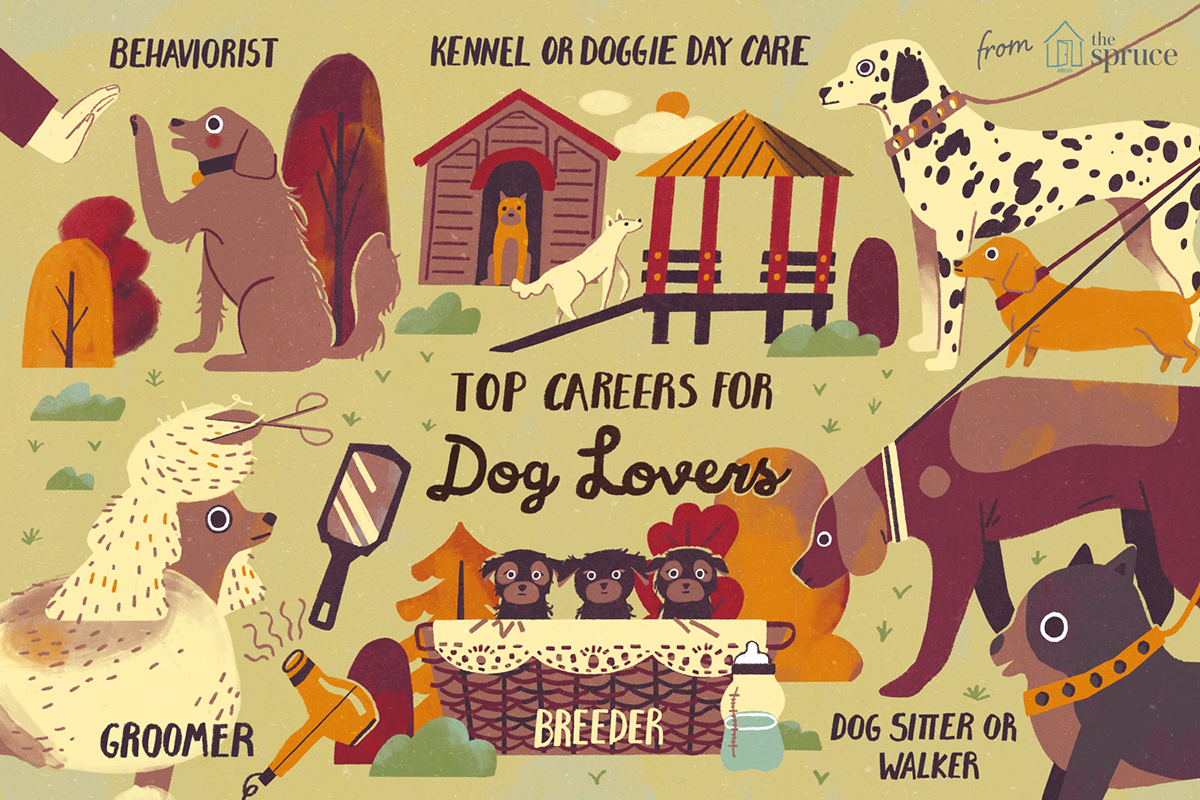 infographic Pet animal trip home editorial
