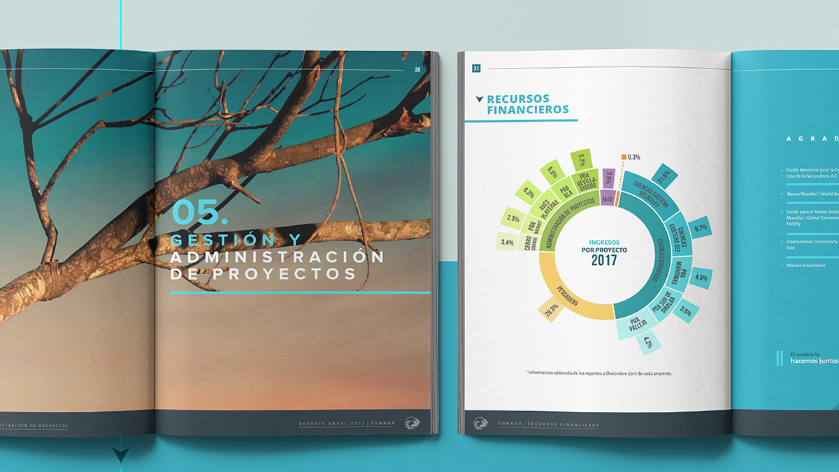 ANNUAL annual report editorial informe anual Reporte Anual art direction  Editoral Design graphic design 