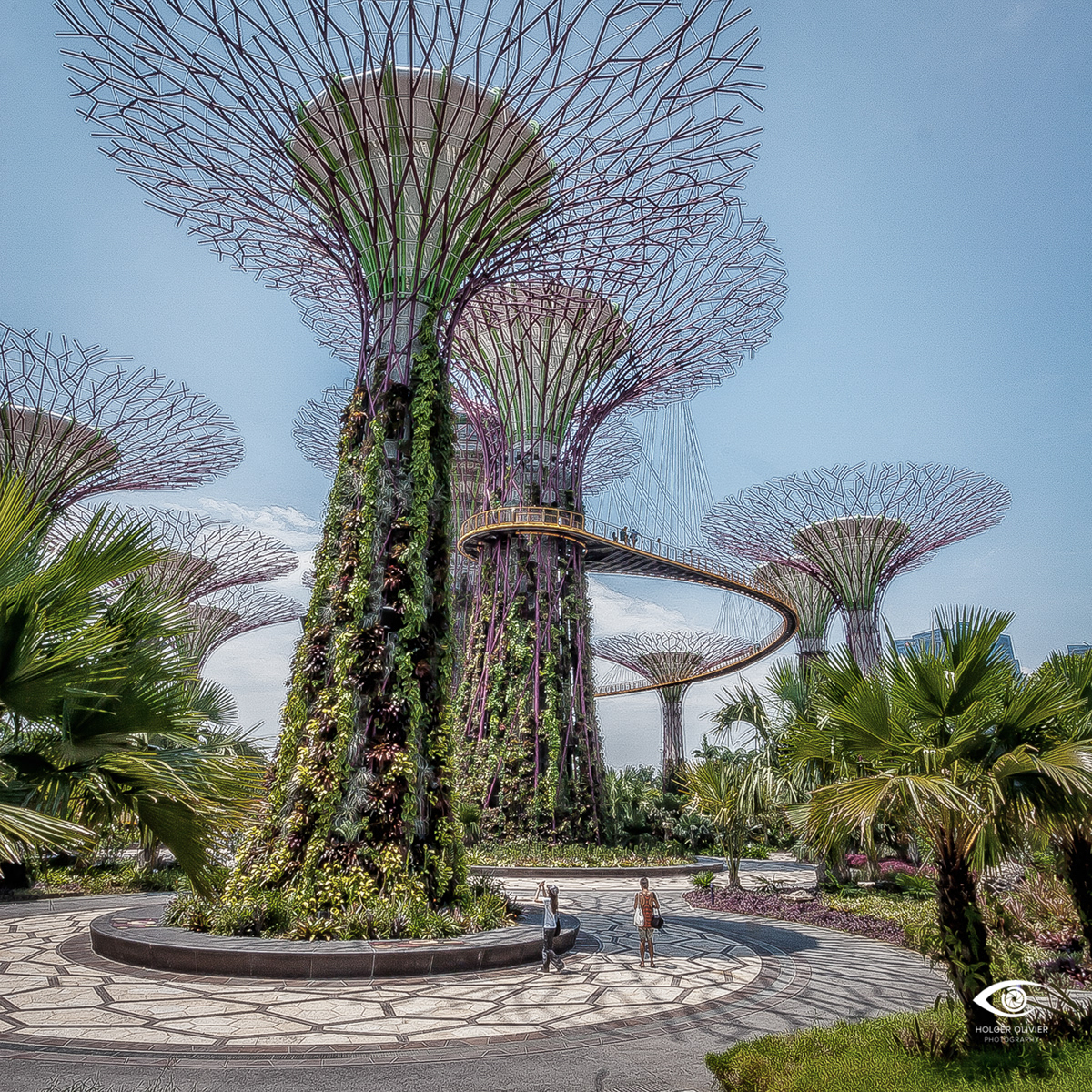 Botanischer Garten | Singapore | HolgerOlivier Photography