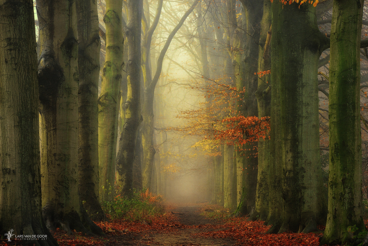 Nature Landscape Fall autumn sun rays Magical colors sunbeams