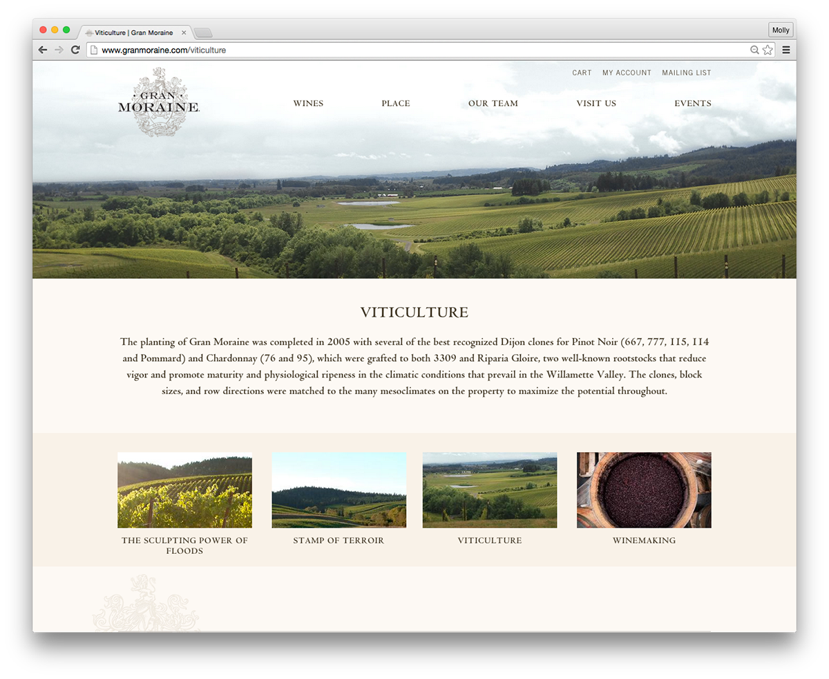 Website Design wine Responsive