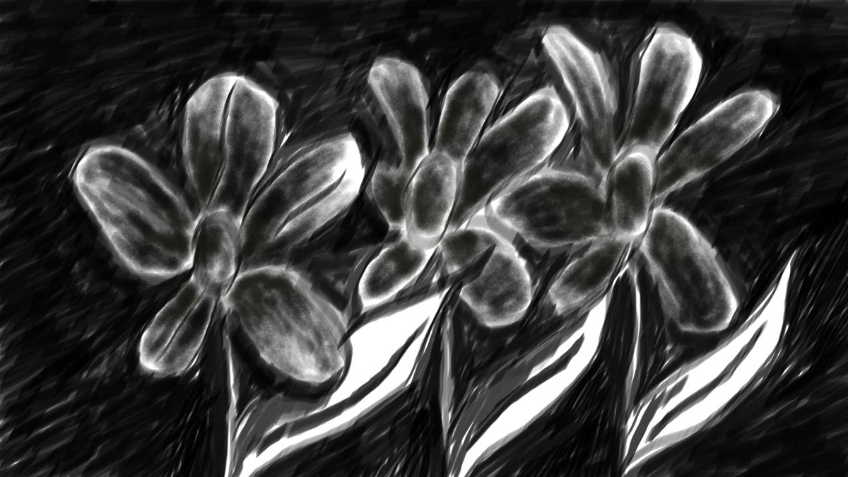 ILLUSTRATION  digital painting black and white sketch artwork Drawing  concept art TVPaint